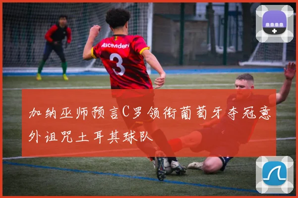加纳巫师预言C罗领衔葡萄牙夺冠意外诅咒土耳其球队